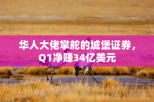 华人大佬掌舵的城堡证券，Q1净赚34亿美元