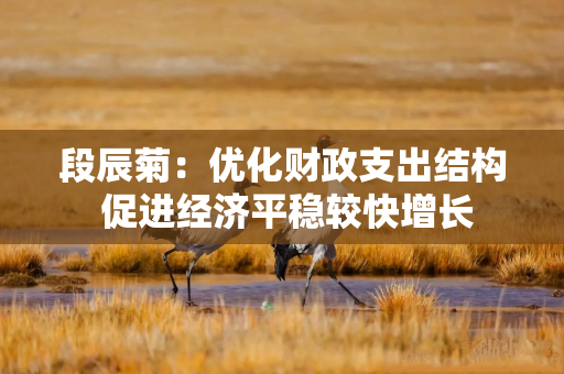 段辰菊：优化财政支出结构 促进经济平稳较快增长