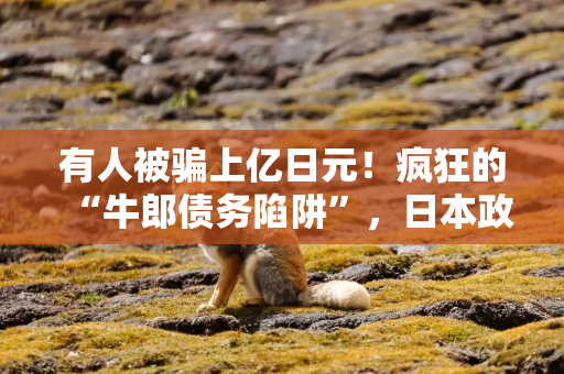 有人被骗上亿日元！疯狂的“牛郎债务陷阱”，日本政府整改有用吗？
