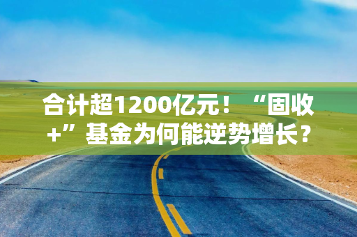 合计超1200亿元！“固收+”基金为何能逆势增长？