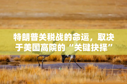 特朗普关税战的命运，取决于美国高院的“关键抉择”