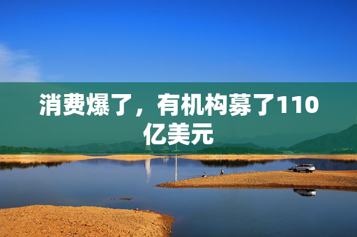 消费爆了，有机构募了110亿美元