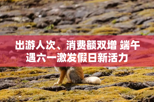 出游人次、消费额双增 端午遇六一激发假日新活力