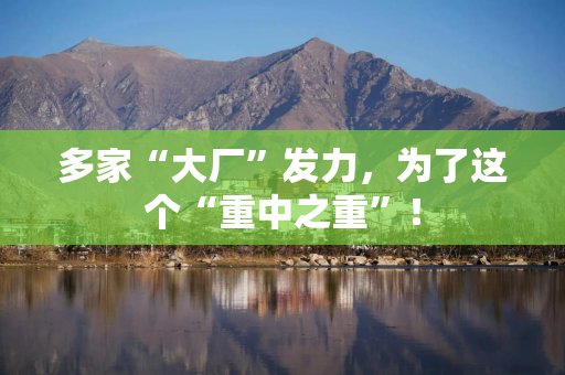 多家“大厂”发力，为了这个“重中之重”！