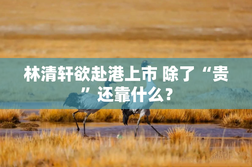 林清轩欲赴港上市 除了“贵”还靠什么？
