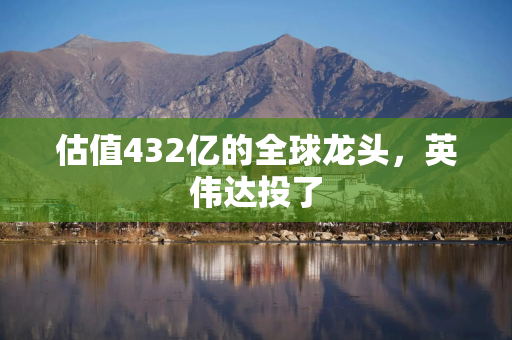 估值432亿的全球龙头，英伟达投了