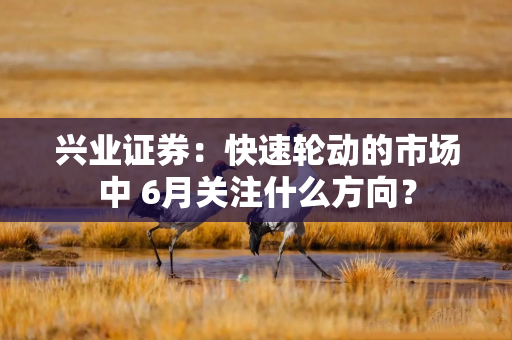 兴业证券：快速轮动的市场中 6月关注什么方向？