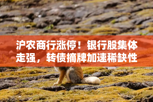 沪农商行涨停！银行股集体走强，转债摘牌加速稀缺性凸显