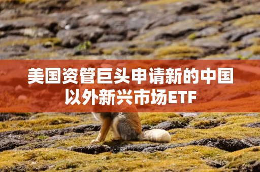 美国资管巨头申请新的中国以外新兴市场ETF