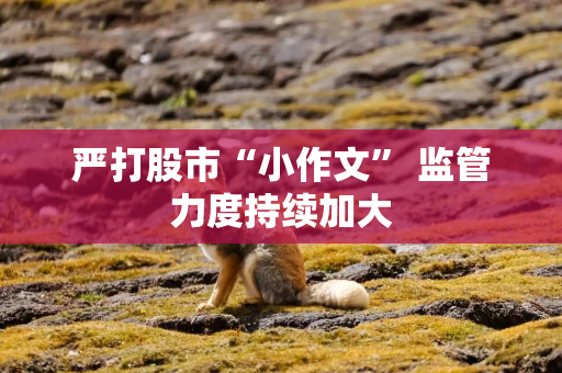 严打股市“小作文” 监管力度持续加大