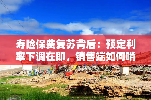 寿险保费复苏背后：预定利率下调在即，销售端如何啃下分红险“硬骨头”