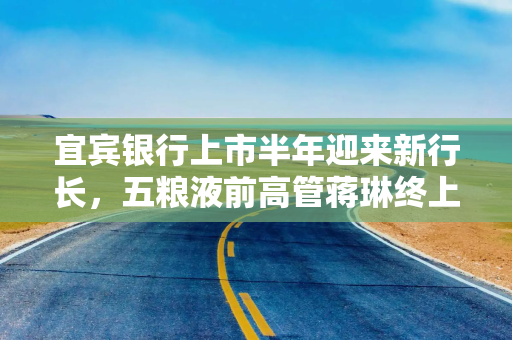 宜宾银行上市半年迎来新行长，五粮液前高管蒋琳终上位
