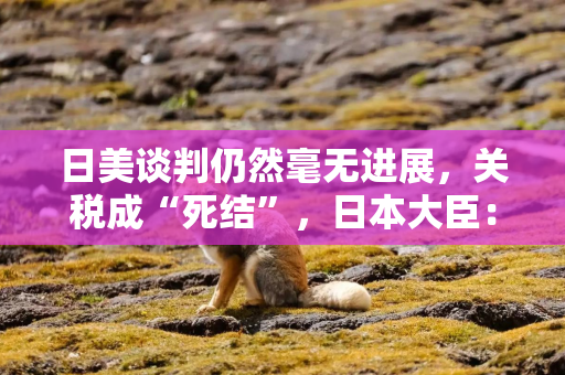日美谈判仍然毫无进展，关税成“死结”，日本大臣：双方“尚未找到共识”