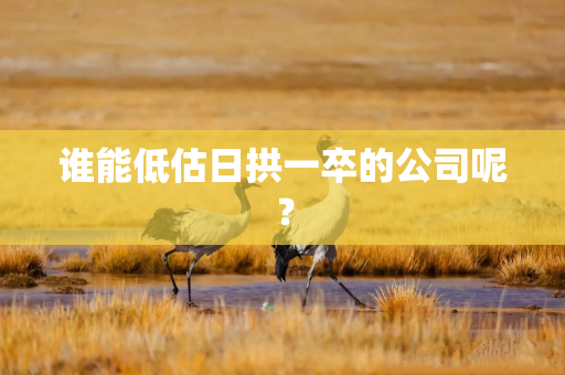 谁能低估日拱一卒的公司呢？