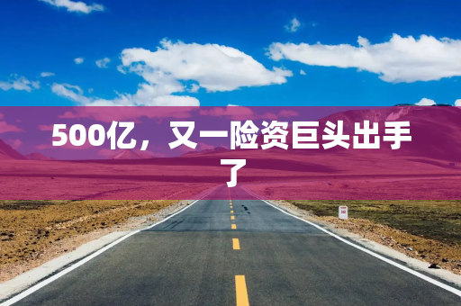 500亿，又一险资巨头出手了