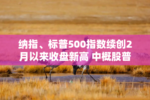 纳指、标普500指数续创2月以来收盘新高 中概股普遍上涨