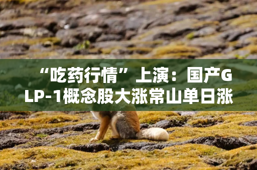 “吃药行情”上演：国产GLP-1概念股大涨常山单日涨幅20%，谁来角逐千亿盛宴？