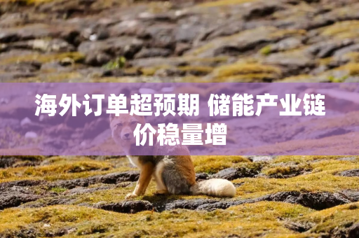 海外订单超预期 储能产业链价稳量增