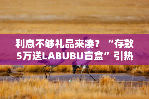 利息不够礼品来凑？“存款5万送LABUBU盲盒”引热议后，有地方监管明确敲打：不得变通揽储