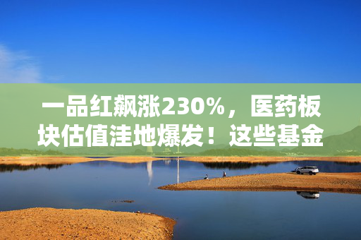 一品红飙涨230%，医药板块估值洼地爆发！这些基金经理提前埋伏