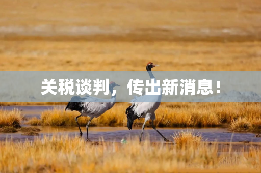关税谈判，传出新消息！