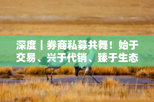 深度｜券商私募共舞！始于交易、兴于代销、臻于生态共建