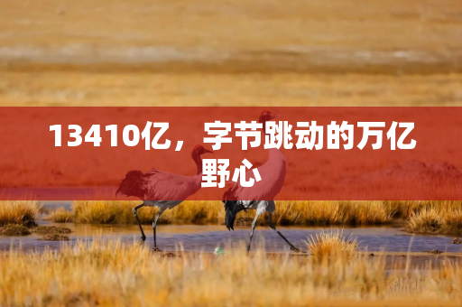 13410亿，字节跳动的万亿野心