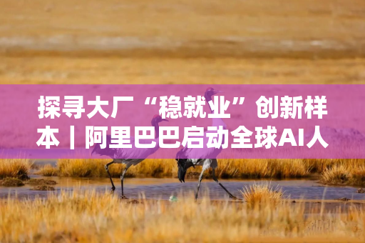 探寻大厂“稳就业”创新样本｜阿里巴巴启动全球AI人才招募 顶尖人才直通前沿技术攻关