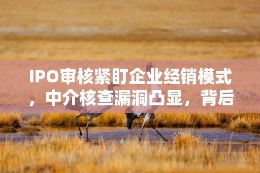 IPO审核紧盯企业经销模式，中介核查漏洞凸显，背后启示几何？