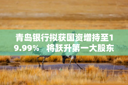 青岛银行拟获国资增持至19.99%   将跃升第一大股东