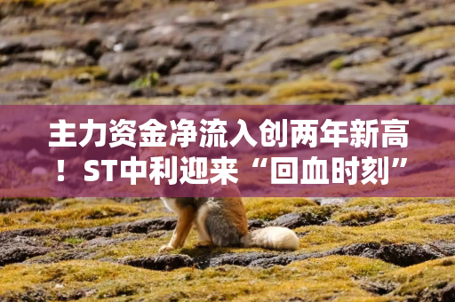 主力资金净流入创两年新高！ST中利迎来“回血时刻”？