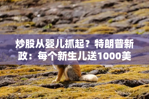 炒股从婴儿抓起？特朗普新政：每个新生儿送1000美元股票