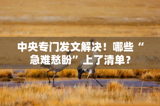 中央专门发文解决！哪些“急难愁盼”上了清单？