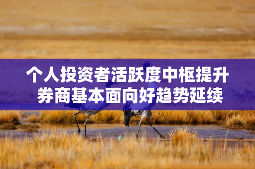 个人投资者活跃度中枢提升 券商基本面向好趋势延续