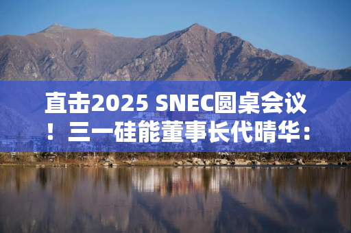 直击2025 SNEC圆桌会议！三一硅能董事长代晴华：新能源革命才刚刚来临，风光依然无限