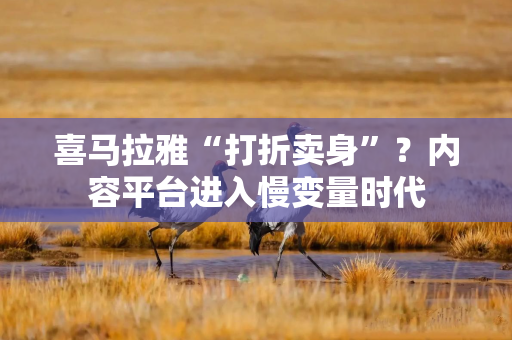 喜马拉雅“打折卖身”？内容平台进入慢变量时代