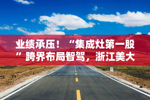 业绩承压！“集成灶第一股”跨界布局智驾，浙江美大斥资1.1亿入股魔视智能