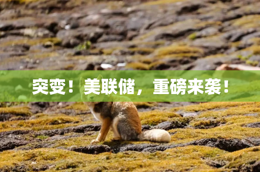 突变！美联储，重磅来袭！