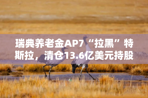 瑞典养老金AP7“拉黑”特斯拉，清仓13.6亿美元持股，称其侵犯劳工权利