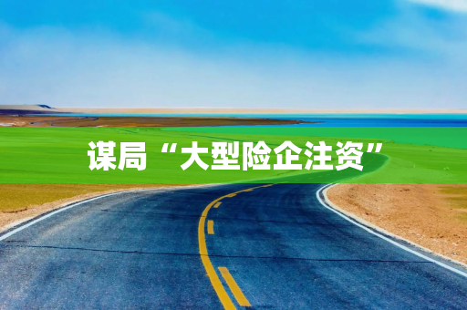 谋局“大型险企注资”