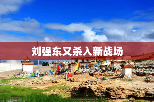 刘强东又杀入新战场