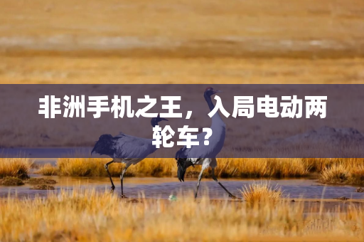 非洲手机之王，入局电动两轮车？