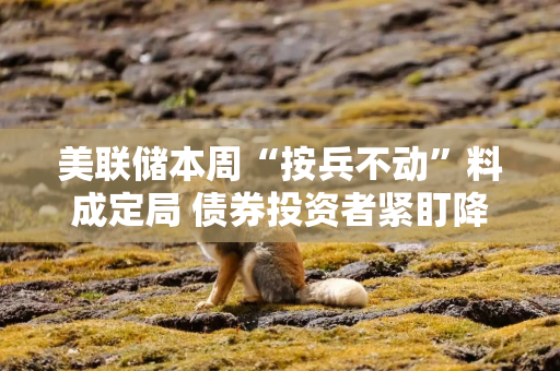 美联储本周“按兵不动”料成定局 债券投资者紧盯降息时点“信号灯”