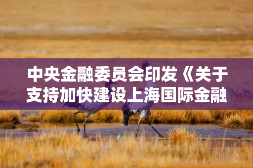中央金融委员会印发《关于支持加快建设上海国际金融中心的意见》