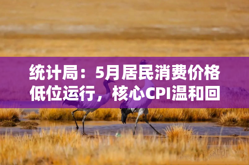 统计局：5月居民消费价格低位运行，核心CPI温和回升