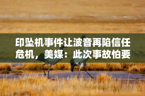 印坠机事件让波音再陷信任危机，美媒：此次事故怕要让波音好势头戛然而止