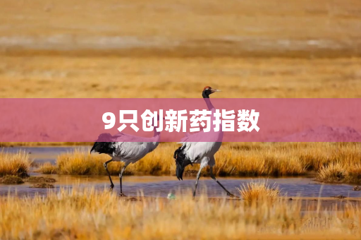 9只创新药指数