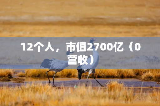 12个人，市值2700亿（0营收）