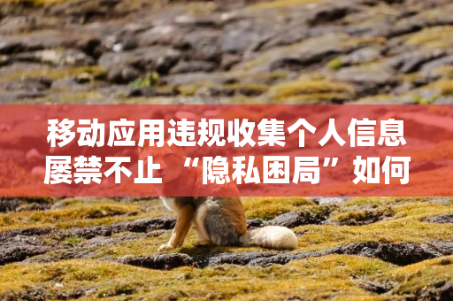 移动应用违规收集个人信息屡禁不止 “隐私困局”如何“破局”？