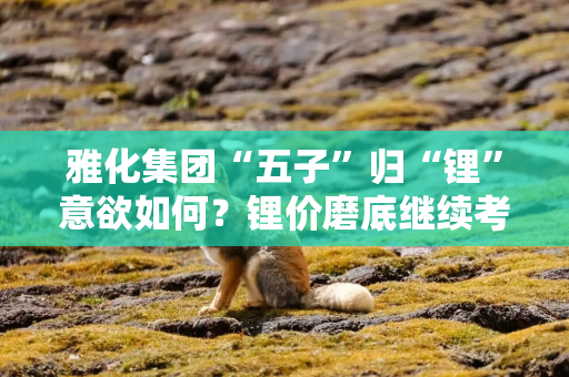 雅化集团“五子”归“锂”意欲如何？锂价磨底继续考验降本